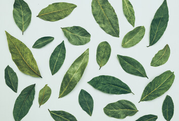 Dry laurel leaves on a white background. Aromatic herbs and spices
