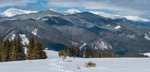 Picturesque winter mountain view from alpine path with footprint. Skupova mountain slope, Ukraine,...