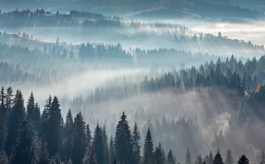 Zelfklevend Fotobehang Mistig bos The air. Light and shadows in mist. First rays of sun through fog and trees on slopes. Morning autumn Carpathian Mountains landscape (Ivano-Frankivsk oblast, Ukraine).
