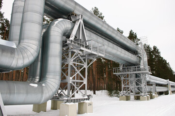 pipeline on the background of a green forest