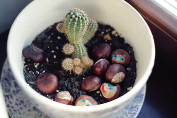 Cactus decorated with chestnuts painted by kids with funny faces. Cute creative home diy decor idea for spring. 