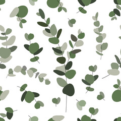 Obraz premium Seamless pattern of eucalyptus on white background. Botany Background for gift paper. Eucalyptus leaves pattern