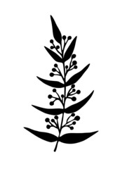 Fototapeta premium Cute branch with hand-drawn leaves and berries. Doodle branch. Vector illustration. Suitable for postcards, weddings, icons, stickers. Isolated on white background. 