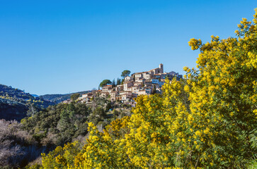 View of the village Bormes-les-Mimosas. Mimosa trees in bloom in the foreground. - 410745381