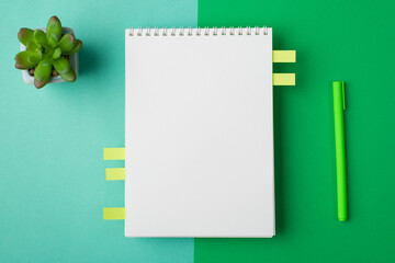 Office supplies. Overhead flat lay view photo of clear open textbook with spiral notepaper pen isolated half turquoise and light green backdrop desk