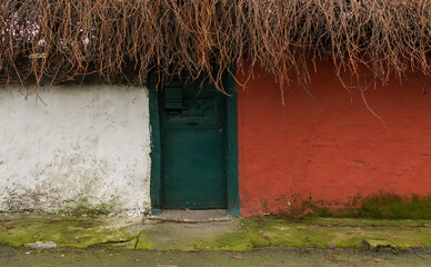 Old vintage green door.  Stone wall and plants. Doors of city houses.