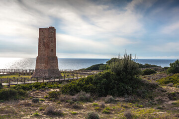 Dunas de Artola - Natural Park in Marbella, Costa del Sol, Spain. Wood path , touristic atraction.