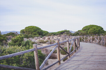 Fototapeta na wymiar Dunas de Artola - Natural Park in Marbella, Costa del Sol, Spain. Wood path , touristic atraction.
