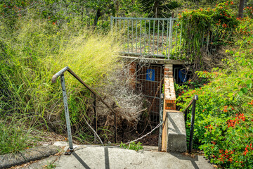 Abandoned public toilet with overgrown bush blocking the entrance