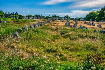 Alignment of Menhirs in Carnac - 410750580
