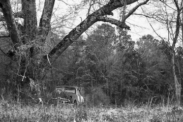 Abandoned Car black and white