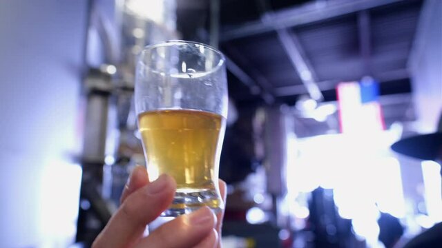 Caucasian Male Holds Up Glass of Craft Beer at a Brewery