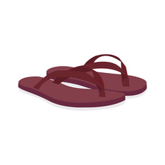 Slippers vector graphics