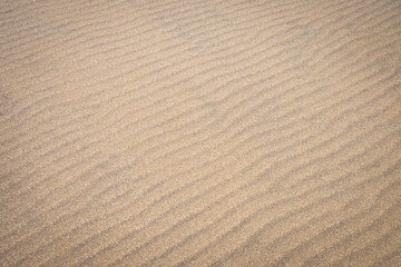 Fototapeta na wymiar Beautiful diagonal pattern in the sand