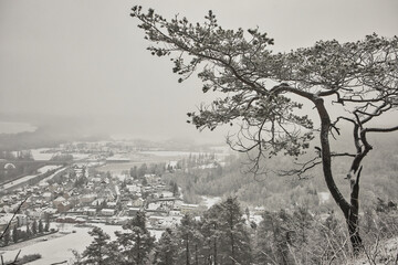 Baum mit Winterlandschaft, Blick vom Steinbruch in Jena, Thüringen, Deutschland