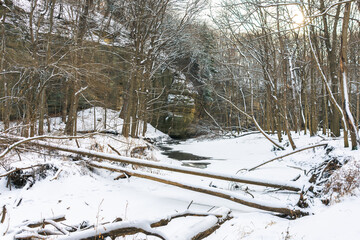 Winter Landscape