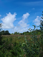 Guernsey Channel Islands, Le Grand Pre Nature Reserve