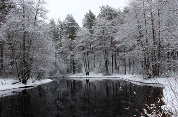 river in winter forest