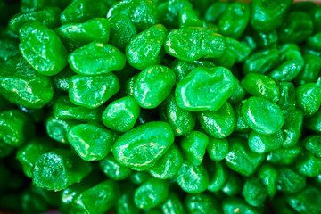 Heap of dry green kumquat background