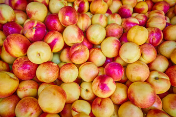 Stack of nectarines in a grocery store