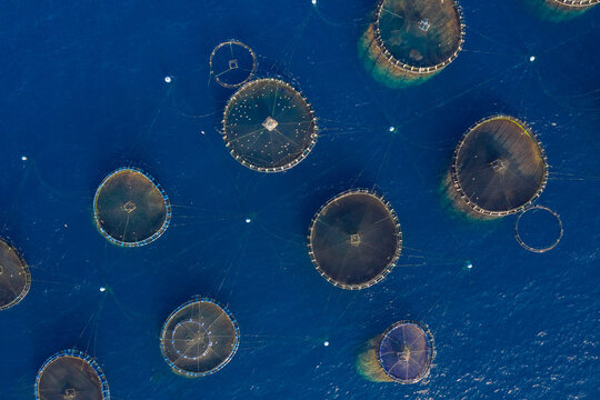 Aerial view of fish farm in Tenerife, Canary islands, Spain.
