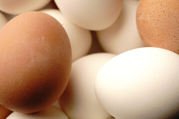 Lots of white and brown chicken eggs. Closeup