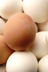 Lots of white and brown chicken eggs. Closeup