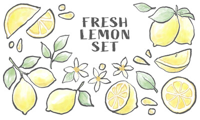 手描き風　レモンのイラスト　セット