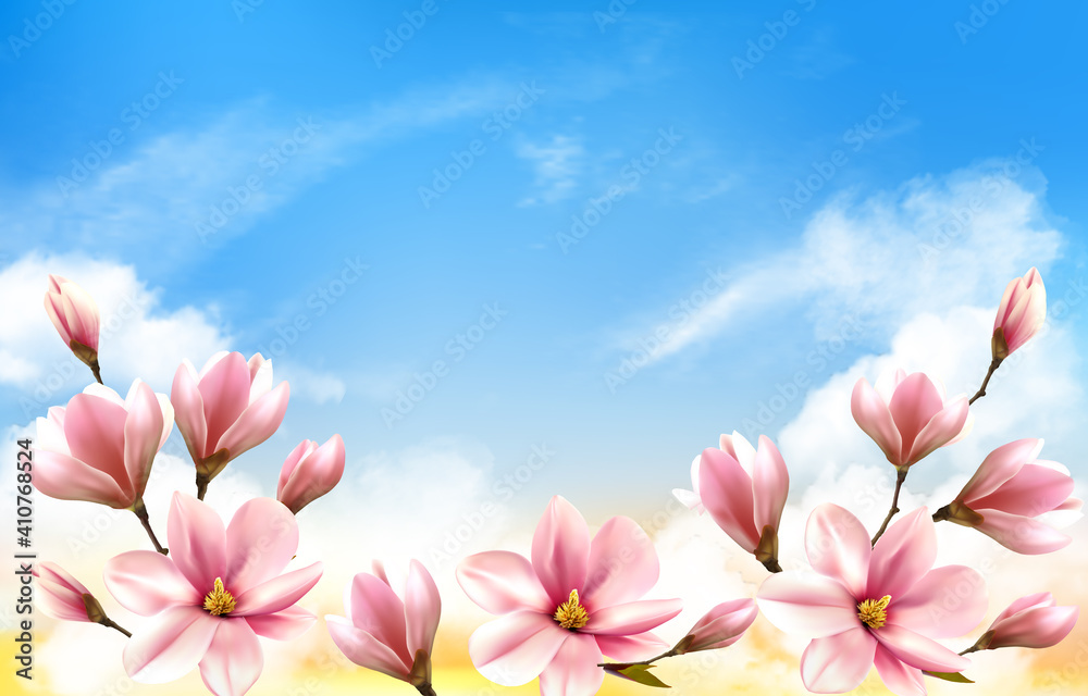 Poster nature spring background with beautiful magnolia branches on blue sky. vector.