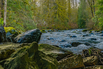  2021-02-04 A RIVER IN THE PACIFIC NORTHWEST WITH BOULDERS WITH LUSH TREES ON THE BANKS