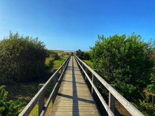 walkway to Ocean Shores Beach