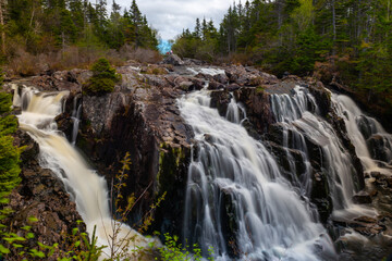 A raging river of white rapids and waterfalls with tall evergreen trees on both sides. The stream is enclosed by large boulders or rock formations with dead read leaves and moss covering greenery. 