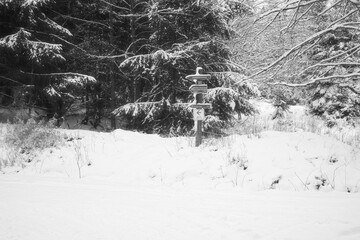 Baum und Weg im Schnee am Rennsteig, Neuhaus am Rennweg, Thüringen, Deutschland 