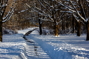 Winter in Milwaukee, Wisconsin.