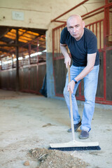 Man farmer cleaning floor with mop at horse stabling indoor