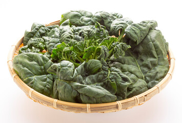 寒締めホウレン草、縮みホウレン草