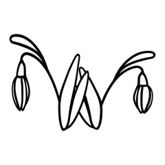 Vector spring illustration, in the doodle technique, images of snowdrops, flowers, leaves, buds, bouquets, compositions in cartoon , a frame of snowdrops, the inscription flowers. Stock illustration
