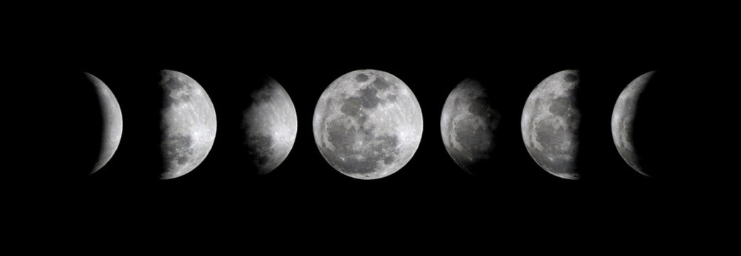 Phases of the Moon : Waxing Crescent, Waxing Gibbous, Waning Gibbous, and Waning Crescent.