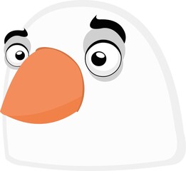 Vector illustration of the face of a pigeon