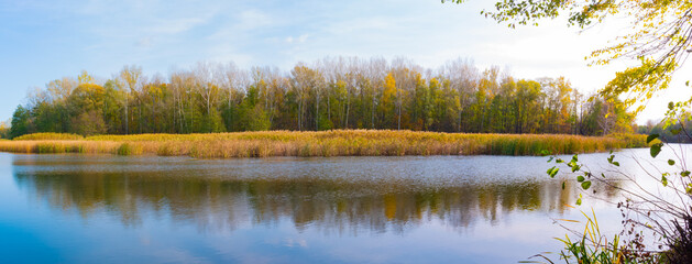 Fototapeta na wymiar Panorama, beautiful autumn landscape. View of the Vorskla river and forest, Poltava region, Ukraine