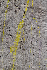 road with yellow lines