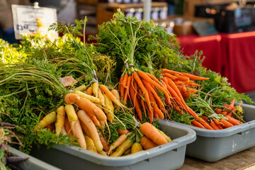 Organic carrots at farmers' market