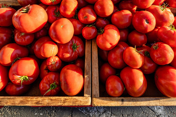 Tomatoes at farmers' market