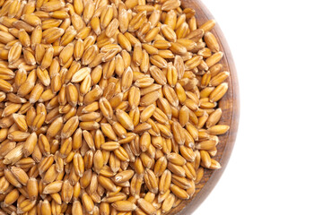 A Bowl of Spelt Grain on a White Background