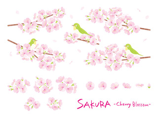 Obraz na płótnie Canvas 桜のイラストパーツ素材セット　メジロが止まっている枝