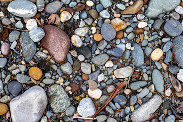 A shallow river, a rocky bottom with a dry riverbed against the background of autumn weather in nature and small pebbles.