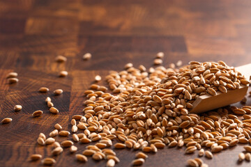 Obraz premium Scoop of Spelt Grain on a Wooden Butcher Block