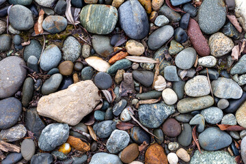 A shallow river, a rocky bottom with a dry riverbed against the background of autumn weather in nature and small pebbles.