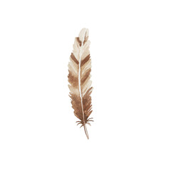 Fototapeta na wymiar Watercolor brown feather. Boho style