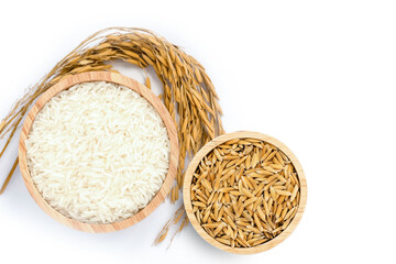 White rice, natural long rice grains ( Thai jasmine rice ) and paddy rice in wooden bowl isolated on white  background. Top view. flat lay.